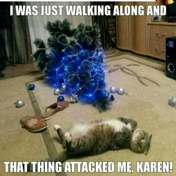 Just for laughs and giggles - Picture 5 of 15